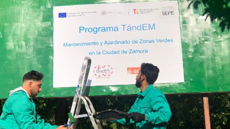 Dos operarios subidos a una escales colocando el cartel del "Programa TándEM" sobre un panel verde con un texto que dice "Mantenimiento y Ajardinado de Zonas Verdes en la Ciudad de Zamora" acompañado de los logos de los diferentes organismos o entidades implicados en la actividad.
