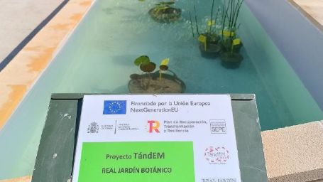 Imagen del cartel y la ejecución de uno de los proyectos