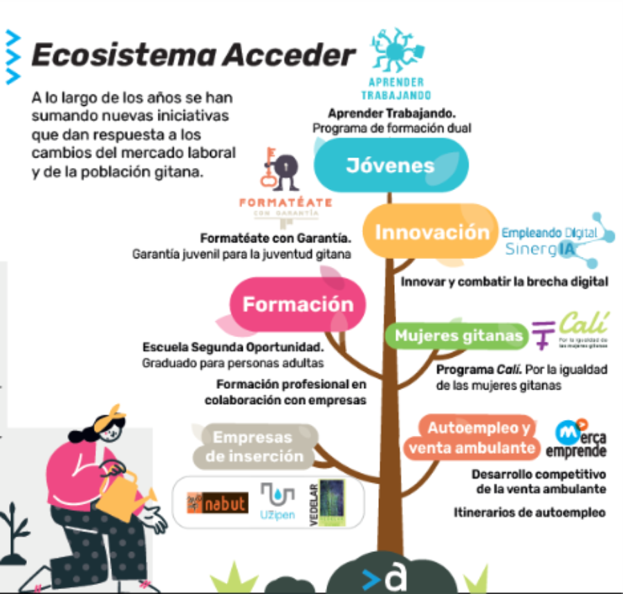 Esquema "ecosistema Acceder" representado como un árbol. De arriba hacia abajo distintos apartados: jóvenes, innovación, formación, mujeres gitanas, empresas de inserción y autoempleo y venta ambulante.<br/>En la parte inferior izquierda hay un una persona dibujada regando la base del árbol.